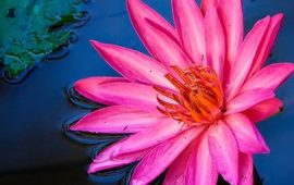 Choosing the right path