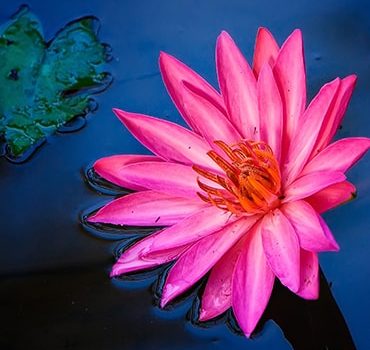 Choosing the right path