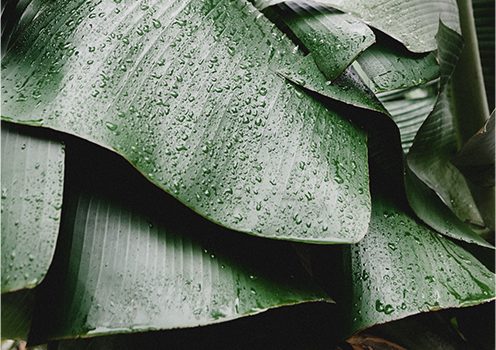 Top 10 night creams will help your skin to relax